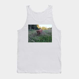 Scottish Highland Cattle Calf 1476 Tank Top